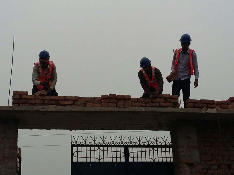 20150113_120149_resized (Copy) [800x600]