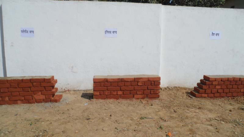 SAM_2721 (Copy) [800x600]